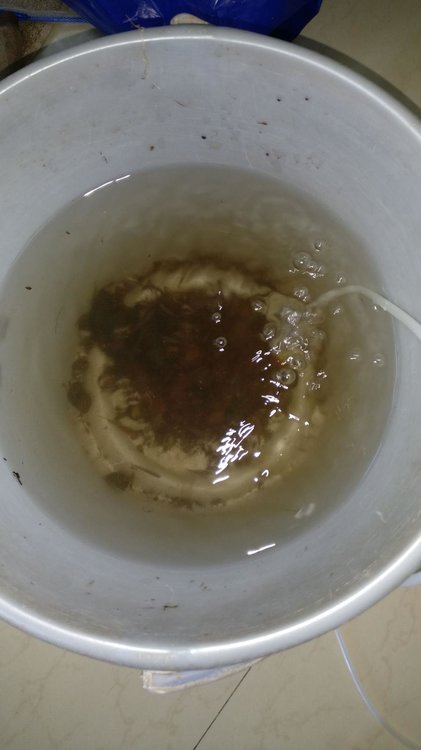 IMG-20170128-WA0017.jpeg