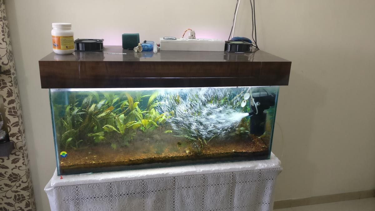 Rescaping my old tank