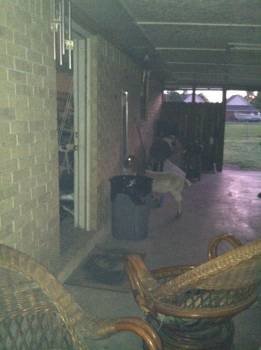 carlos mirror cropped.jpg