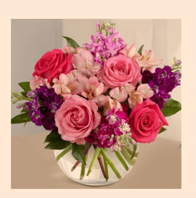 Screen Shot 2017-05-12 at 1.03.02 PM.png