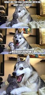 nobody knows.jpg