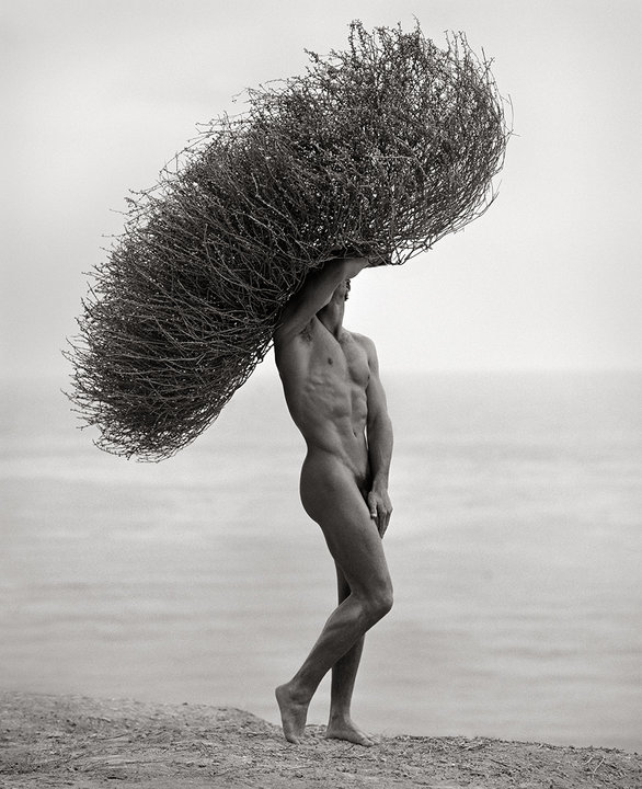 tumbleweed.thumb.jpg.39addb3d81c4c4dec9ed83e1b39f8102.jpg
