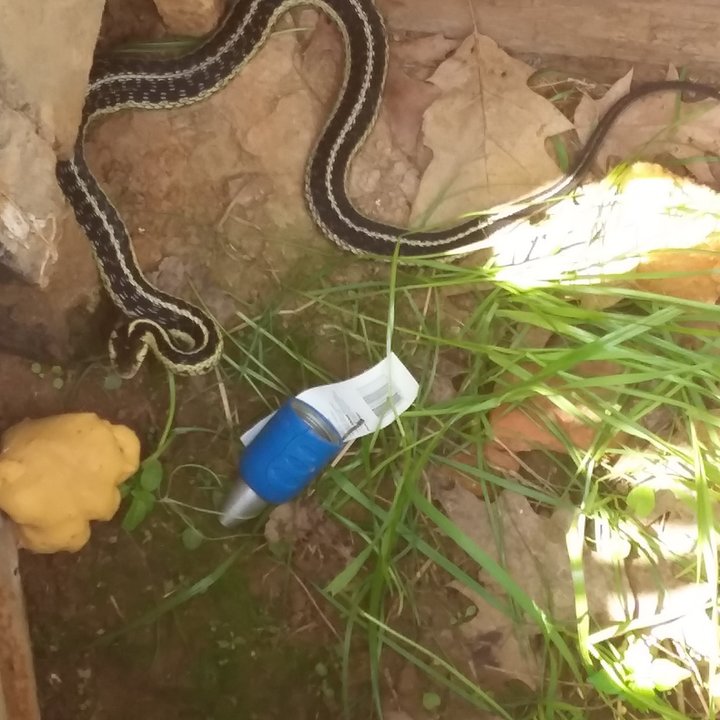 20180531_130311.jpg