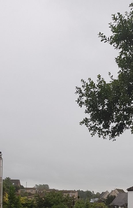 20180723_100611.thumb.jpg.eae1927448c0e136729d5fed5c129e44.jpg