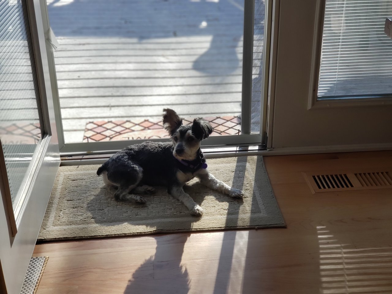 2019-03-22 17.43.08-1.jpg