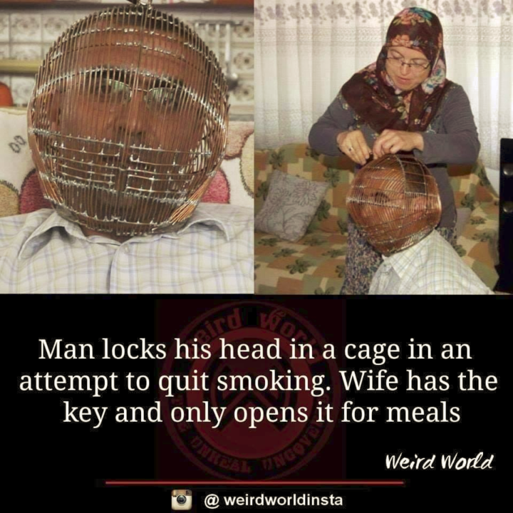image.thumb.png.80015a0e4643f184321e076eae854516.png