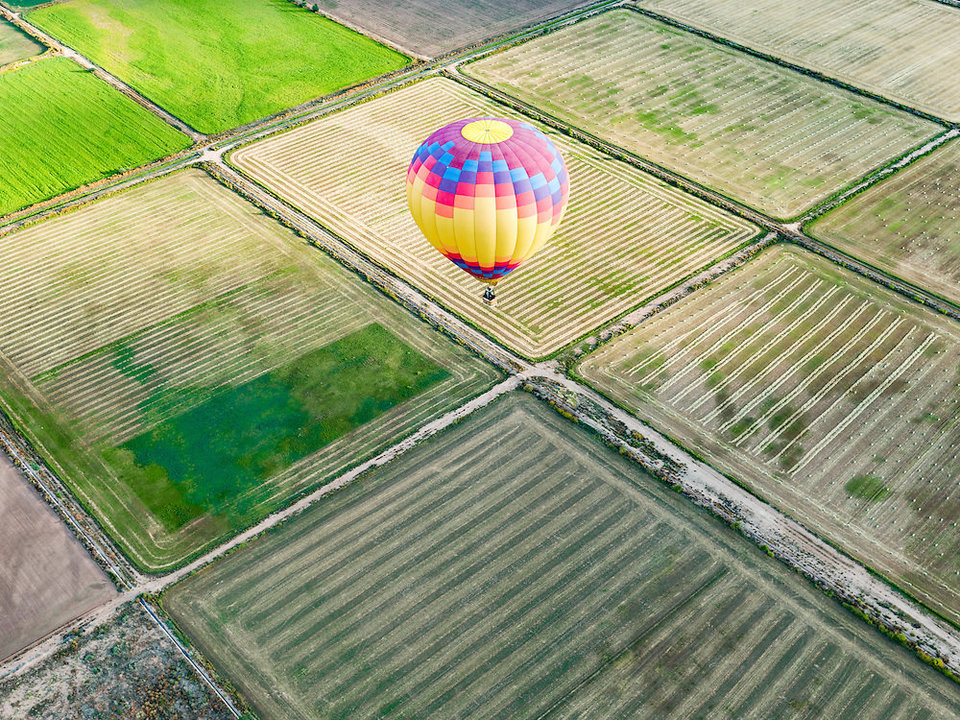 Hot-Air-Balloon-And-Field.jpg