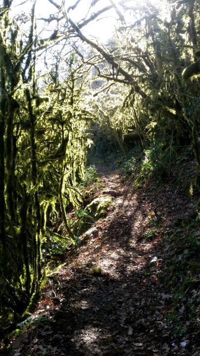 2020-02-22 17.00.35.jpg