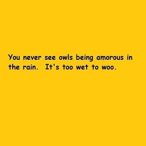 jokes.jpg.c3573e6f5eda848134e33a6404945d6e.jpg