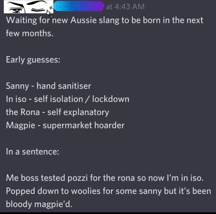 Aussie corona slang.jpg
