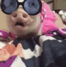 962921757_PigScolar.gif.e277ab371080a5628dd6d6c196601eab.gif