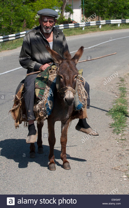 elderly-man-with-grey-hat-on-a-donkey-unrecognized-state-of-nagorno-E5K9AF.jpg