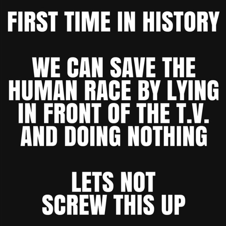 image.thumb.png.6b308cbb63ac52b6583fe78c37ae07a5.png