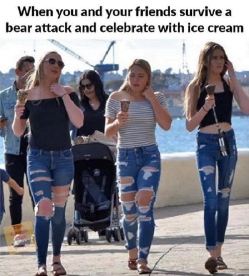 173674710_BearAttack1.png.46d4ab5d407b96bd3c82042006f63342.png