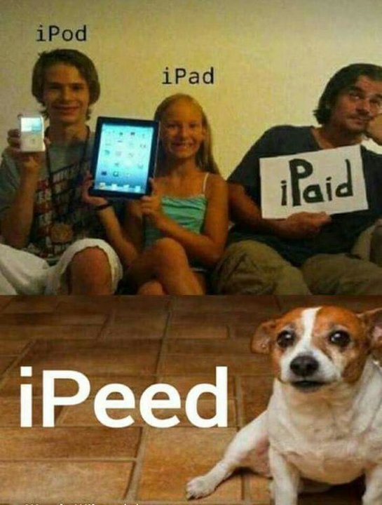 IPad.thumb.jpg.8ed501fd002e276336552879893ce36a.jpg