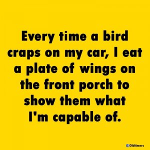 Bird.jpg.db6ac661a88825cb247a9d9be2901e2a.jpg