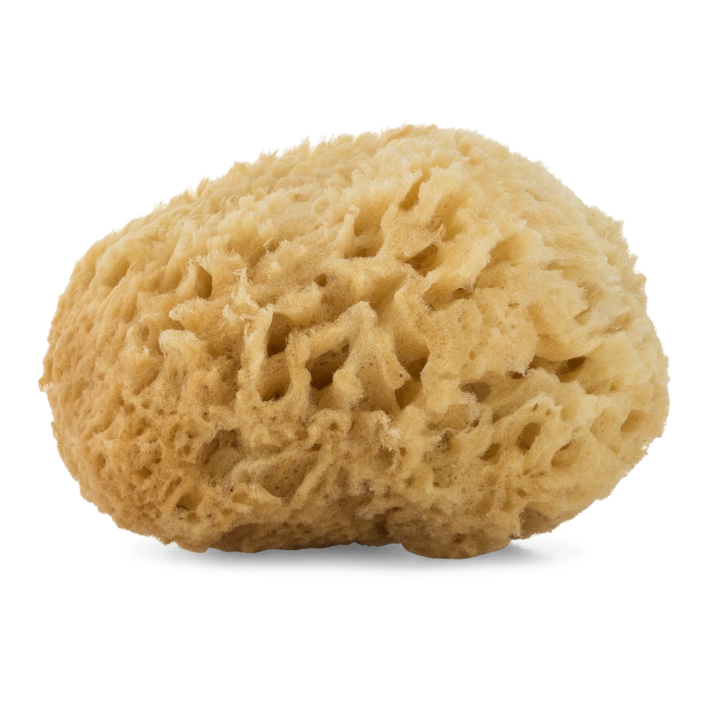 image.thumb.png.eb26b16b12efe06c24e98718c371e1d8.png