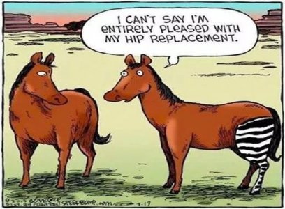 17718456_HipReplacement.jpg.f450d004a776ede103c7a7ed334df44a.jpg
