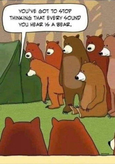Bears.png.66ced314f93d5f7124db8f66ef11ac2b.png