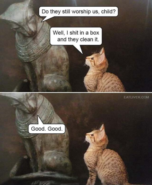 image.thumb.png.fd0ac3d3d213494f558c37c84ca39256.png