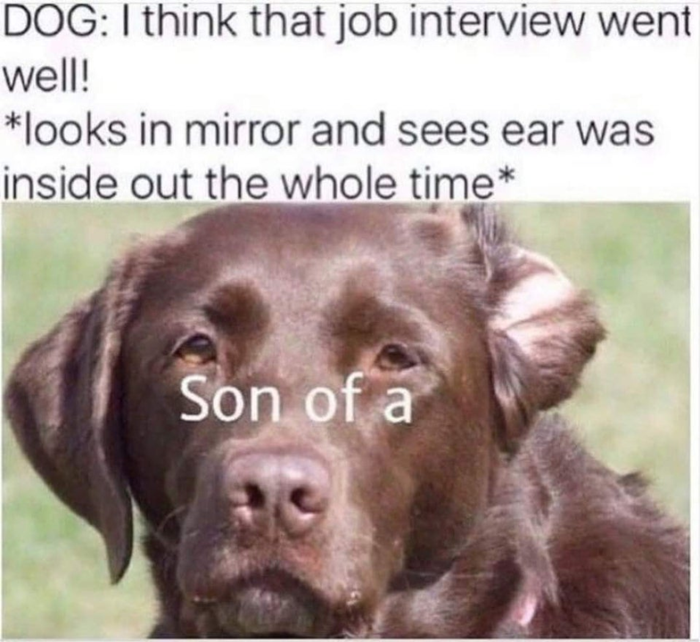 image.thumb.png.f3122714934834403ebc86bd7bb86ae5.png