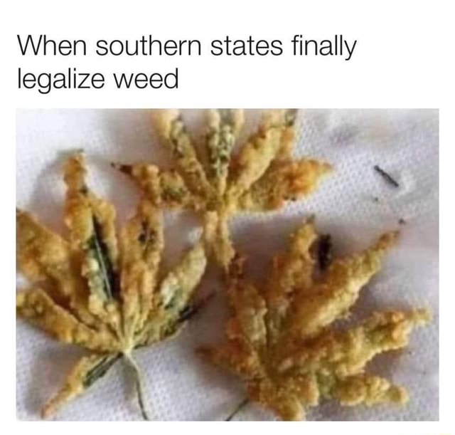image.png.3af24df20a4aeedeaf6ddd76d522ddce.png