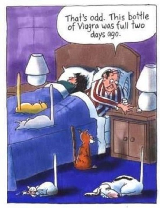 Viagra.thumb.jpg.6a298402bc801c960bb2fa92d6b71dbc.jpg