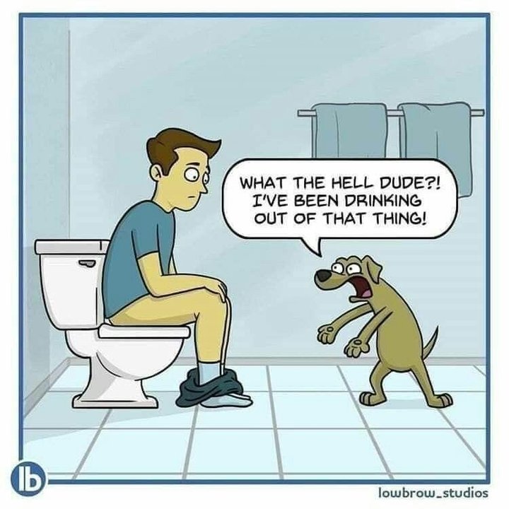 eb7fbd74dcd6127f6eb512581fc34a57.jpg