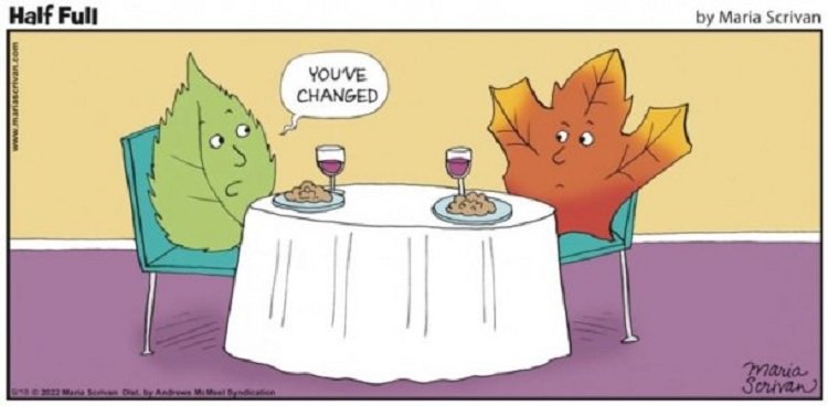 Leaves.jpg.bad7ac7184f8a63fe503eb2677797f84.jpg