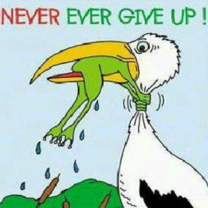 1373160565_nevergiveup..thumb.jpg.4491ade8a77fed1794a4e760cce69bf0.jpg