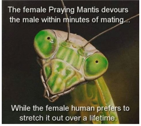 image.png.06ee4e959643aca37ab596a01b5a5c4f.png