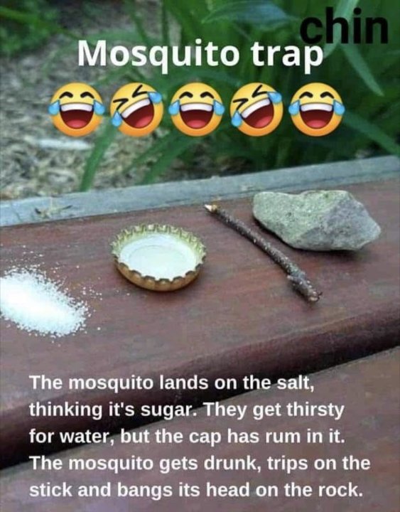 scito1.jpg