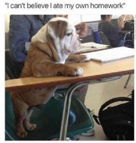 Homework.jpg.b6664930eb0c1ec083723d594be662d5.jpg