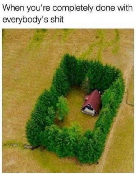 Isolation.jpg.8abd2e682689aead2b966026f9032f75.jpg