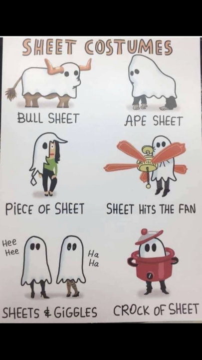 sheet.png