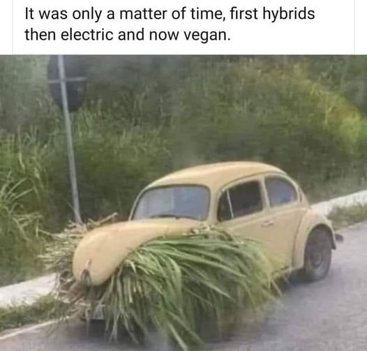 image.png.25b8e1154278d18d7cf401685a48196e.png