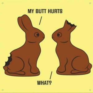 Bunny.jpg.7aa31712514be16f48e3061673669e9d.jpg