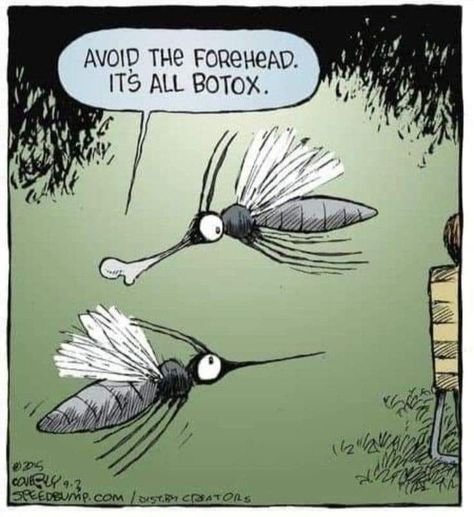 Botox.jpg.bb115258a0c77dfd982d080acc3a308a.jpg