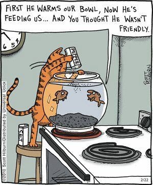 CatFeedsFish.jpg.64226aa849794f50974c5b8caf6475ed.jpg