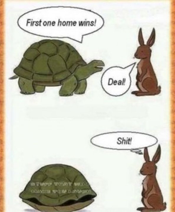 Home.thumb.jpg.3f1ba109992041b1e97e04e9ff13d96b.jpg
