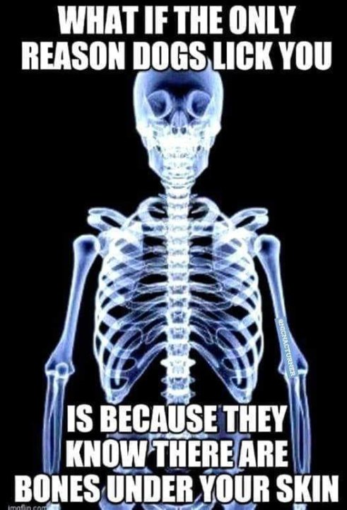 dogbones.thumb.jpg.7ef47dea720c0365666d92529b7ce390.jpg