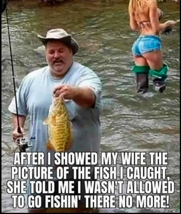 image.thumb.png.861003d0e3468fc309b3b6ca756e1685.png