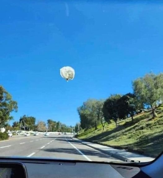 Chineesewheatherbaloon.jpg.8900d18d789f7360d6016e38b7a43179.jpg