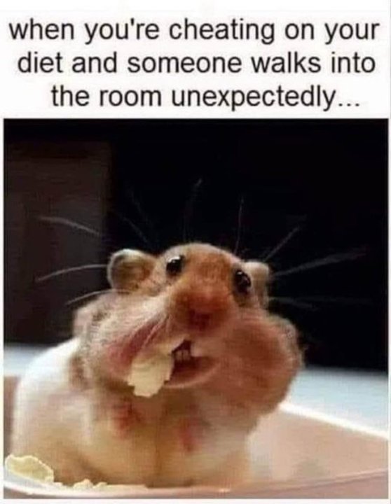 DietCheat.thumb.jpg.fec1d775e498e498828156fd6ad1a133.jpg