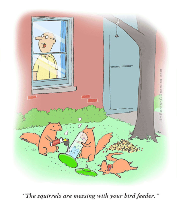 image.thumb.png.c2142863ade939c1a20d3f3cd9408eb2.png