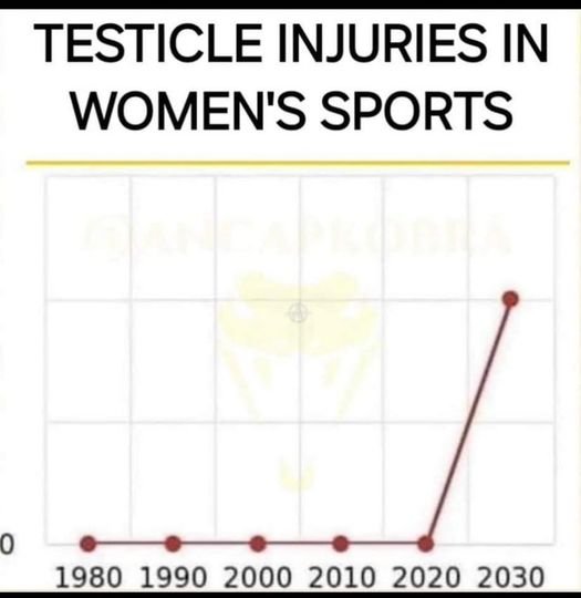 testicle.jpg.3821d7d620e3365fdd5f2b5255a6569b.jpg