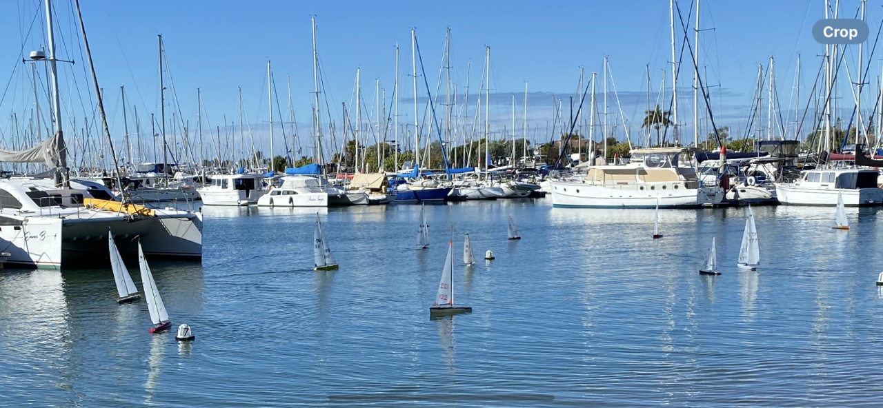 IMG_0703.png