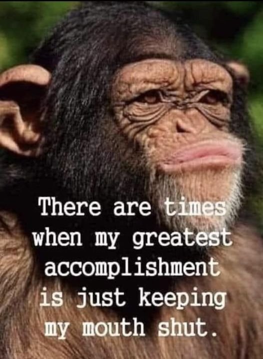 mouthshut.jpg.2aa04386a00999933e83999a3222ea08.jpg