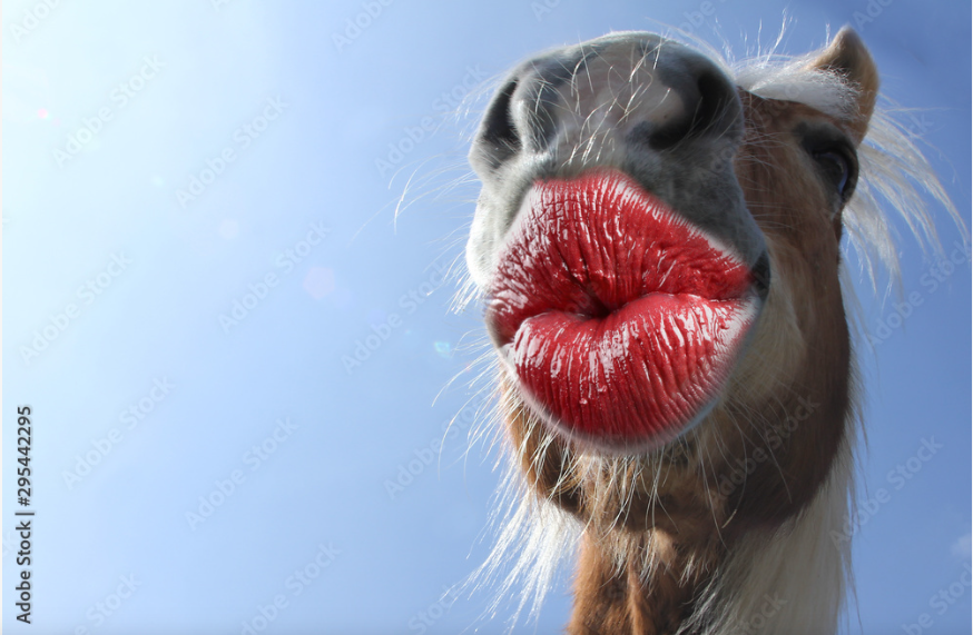 image.png.942abfb0e4a2f1665172c9445d2d488e.png