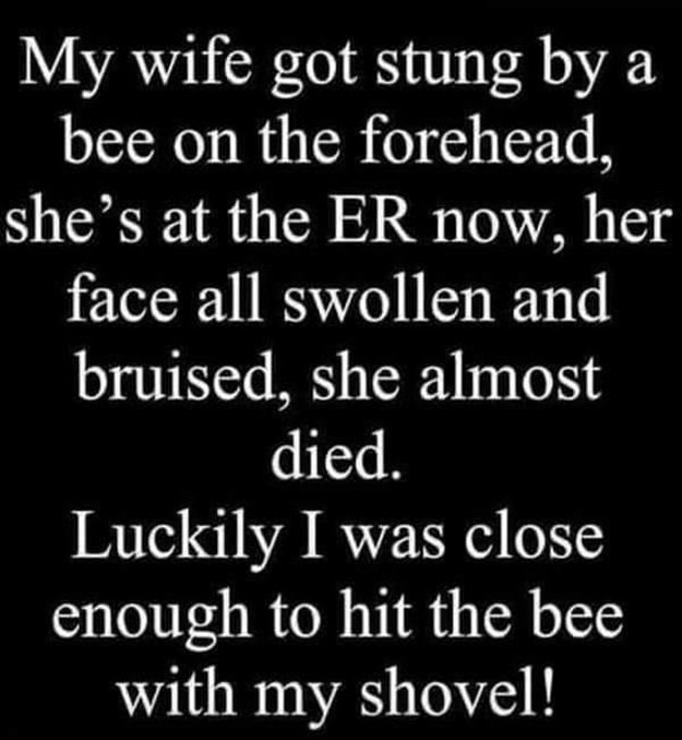 BeeSting.jpg.b407562af2355fa1fac5e7f451768345.jpg